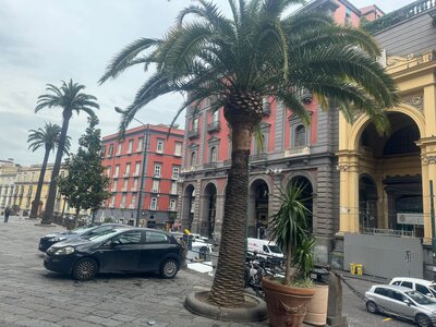 WhatsApp Image 2024-06-01 at 21.45.01 (2)